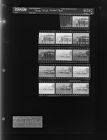 Rose High School Bus (14 Negatives), August 9-14, 1967 [Sleeve 31, Folder c, Box 43]